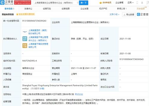 信息技術(shù)咨詢服務(wù) 驅(qū)動(dòng)企業(yè)數(shù)字化轉(zhuǎn)型的關(guān)鍵力量